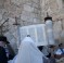 torah torah