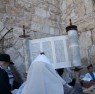 torah torah