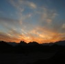 mtsinai