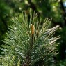 IMG_1281