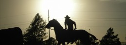 DSCN0913_p