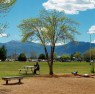 ReflectingInThePark