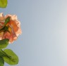 file0001041708278