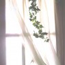 file0001493494976