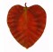 heart2