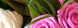 file000231496170