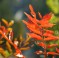 file000794895173