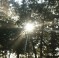 file000871501952 (1)