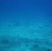 file0001006320956