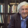 wiesel