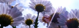file000914987667