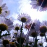 file000914987667