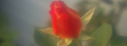 file0001096855997