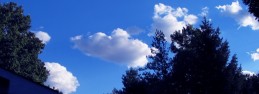 file0001132343546