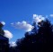 file0001132343546