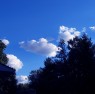 file0001132343546