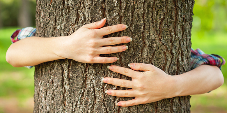 I love hugging trees
