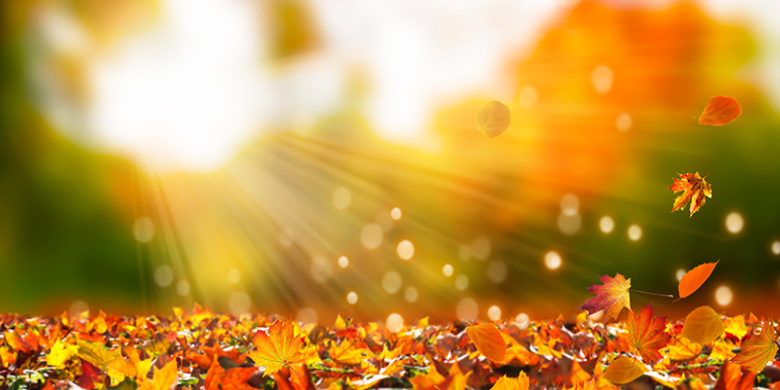 Daylight savings time is OFF(!), rain (finally!), leaves turning colors!