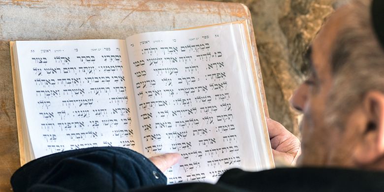 איש קורא תהילים בכותל המערבי