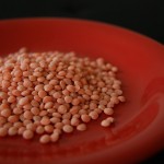 Red_plate_red_lentils