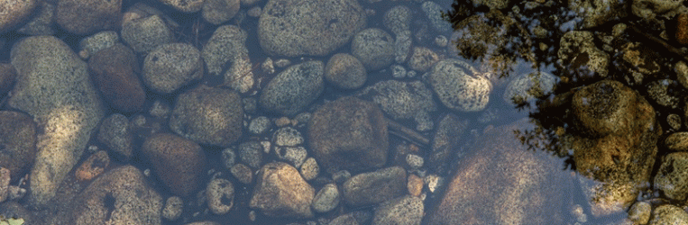 rocks-and-water.gif