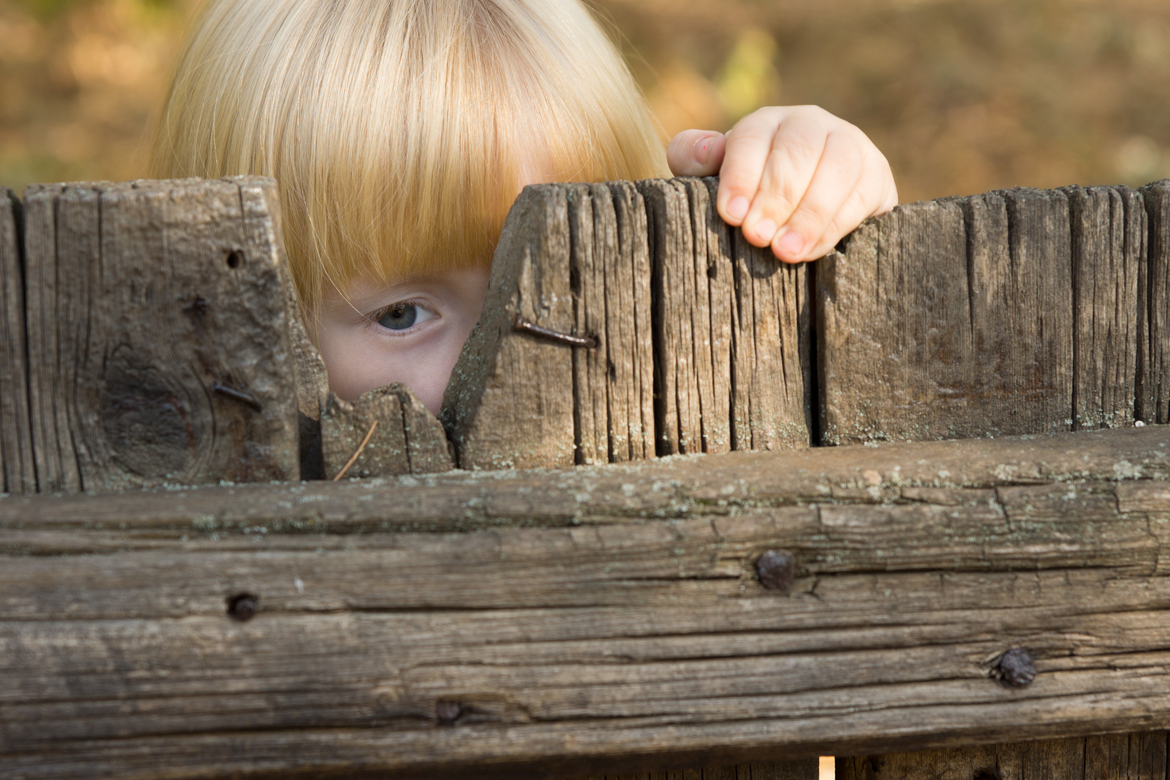 shutterstock_228409636