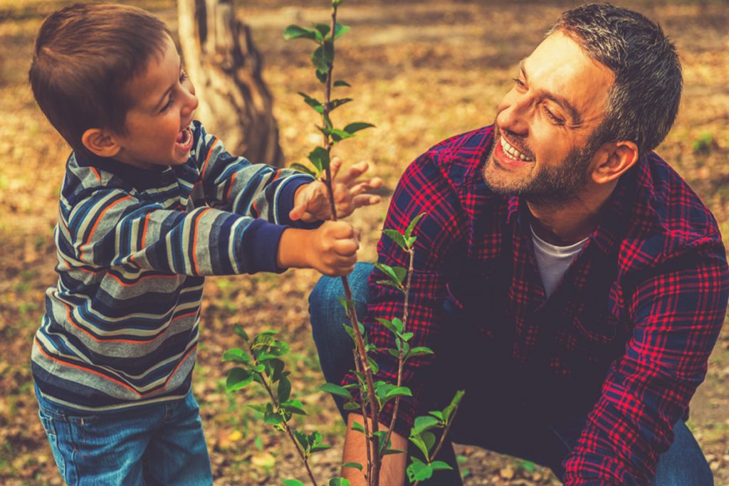 Tu b’Shevat 15th Shevat