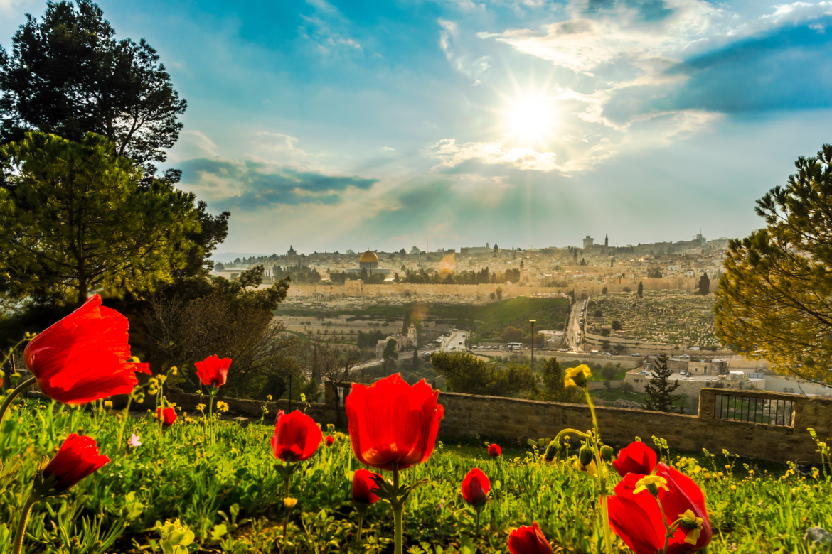 shutterstock_1325790386