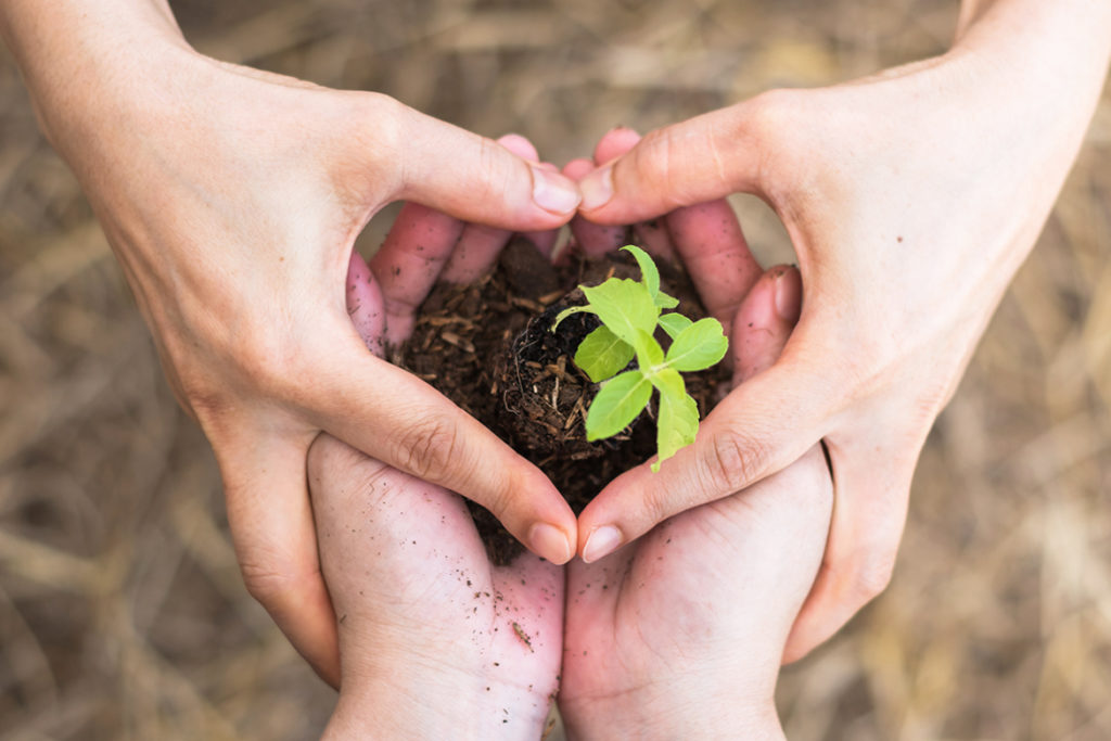 The Blessings Of Tu B'Shevat